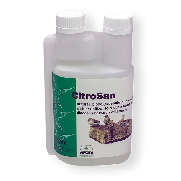 Summer Bird Food - Best Food For Birds In Summer